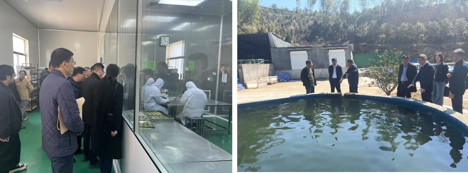 read_image.jpg read_image.jpg