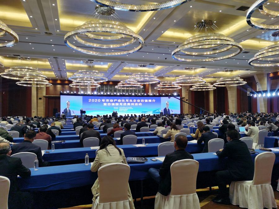 1619420581323575gJPJ.jpg 10.jpg